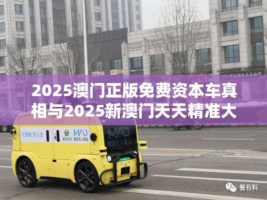 2025澳门正版免费资本车真相与2025新澳门天天精准大全谜语，谨防虚假的障眼法,条理释义、解释与落实