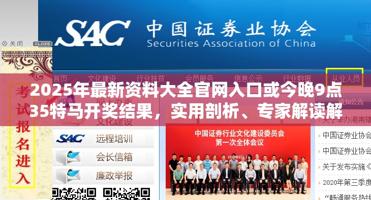 2025年最新资料大全官网入口或今晚9点35特马开奖结果，实用剖析、专家解读解释与落实?