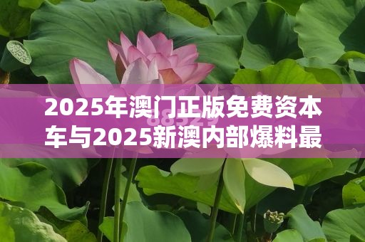 2025年澳门正版免费资本车与2025新澳内部爆料最新消息，典型释义、专家解析解释与落实?小心误导宣传风险