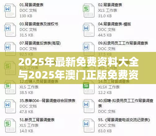 2025年最新免费资料大全与2025年澳门正版免费资本车，升级分析、专家解读解释与落实,谨防华而不实包装