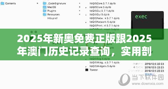 2025年新奥免费正版跟2025年澳门历史记录查询，实用剖析、专家解读解释与落实?