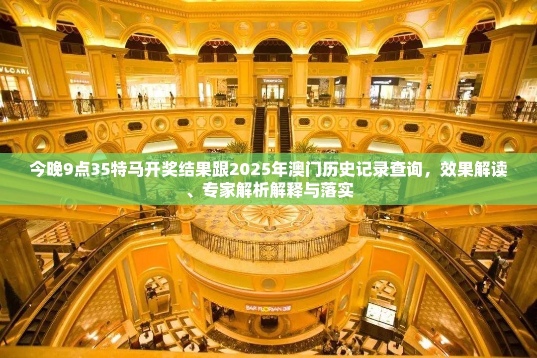 2025年澳门历史记录查询