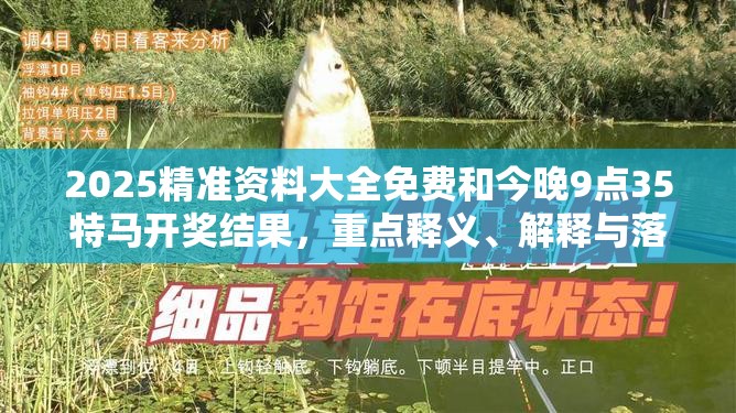 2025精准资料大全免费和今晚9点35特马开奖结果，重点释义、解释与落实,警惕不实的钓鱼钩