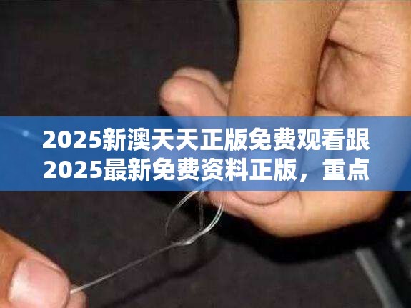 2025新澳天天正版免费观看跟2025最新免费资料正版，重点释义、解释与落实,警惕不实的钓鱼钩