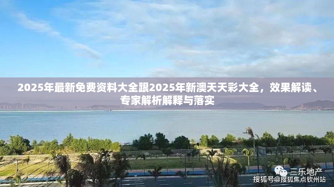 2025年最新免费资料大全跟2025年新澳天天彩大全，效果解读、专家解析解释与落实